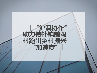 “沪滇协作”助力待补镇鹧鸡村跑出乡村振兴“加速度”